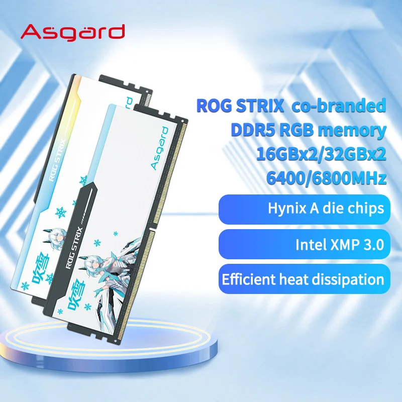 Asgard ROG STRIX DDR5 RGB RAM 메모리