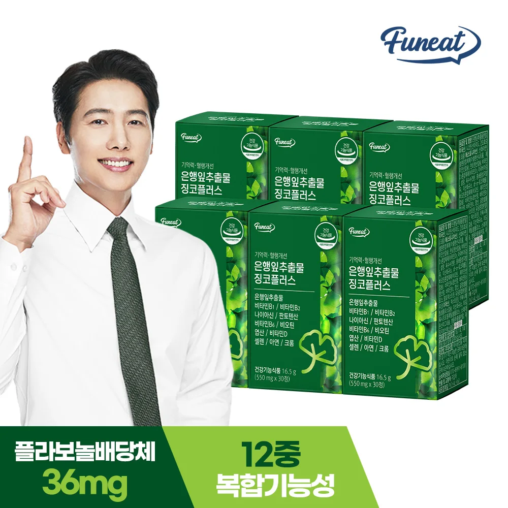 퍼니트 기억력 혈행개선 은행잎추출물 징코플러스 500mg x 30정 x 6박스