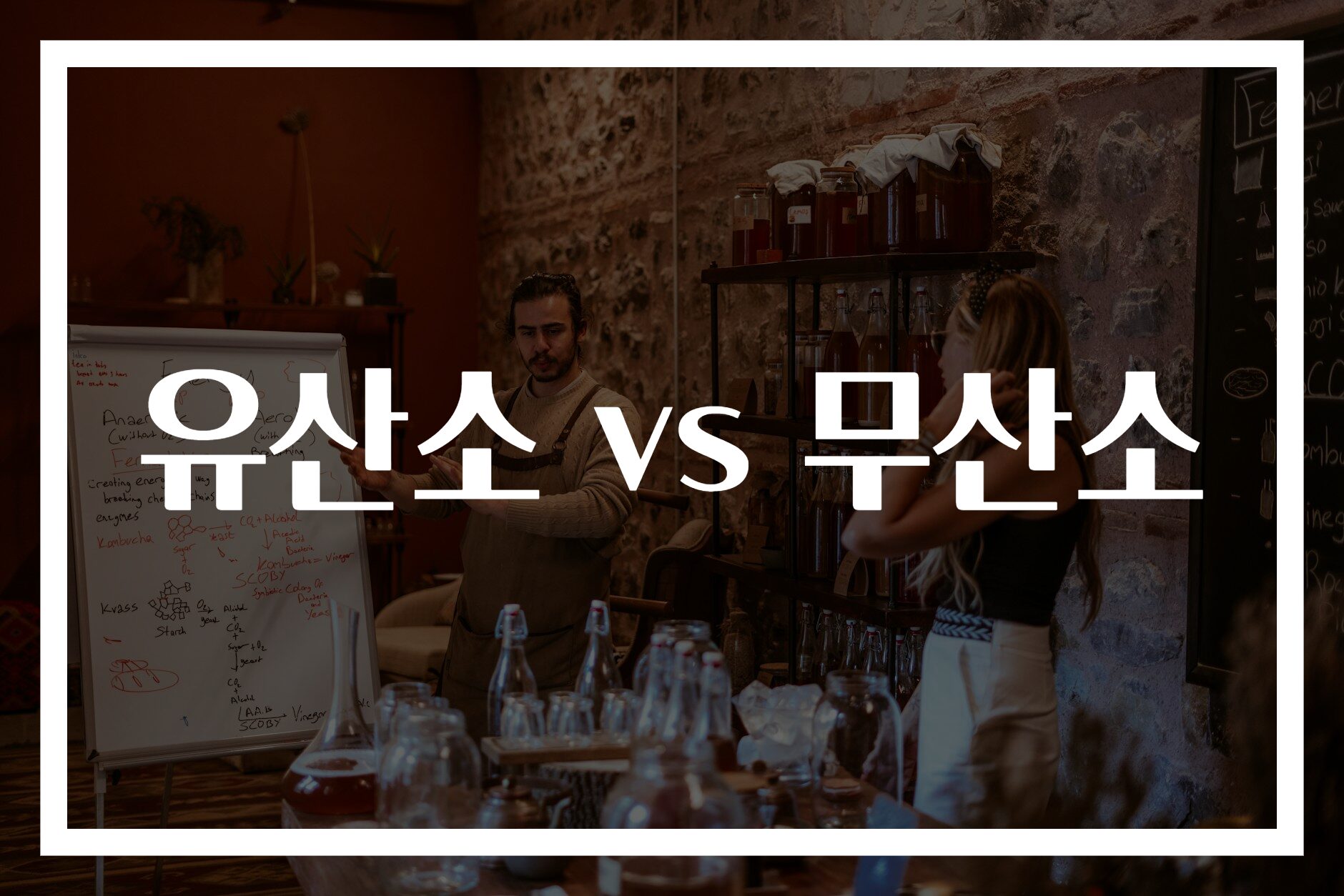 유산소 vs 무산소