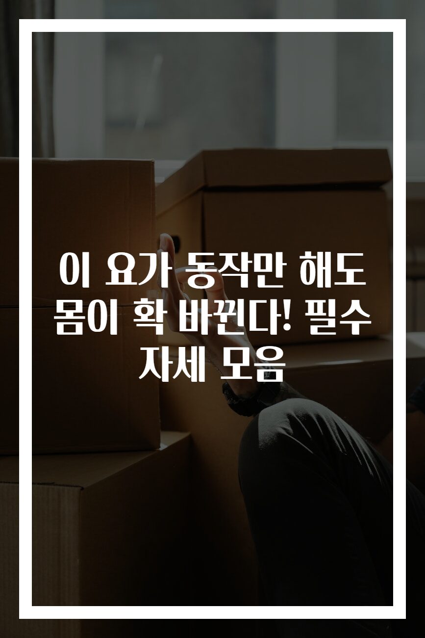 이 요가 동작만 해도 몸이 확 바뀐다! 필수 자세 모음