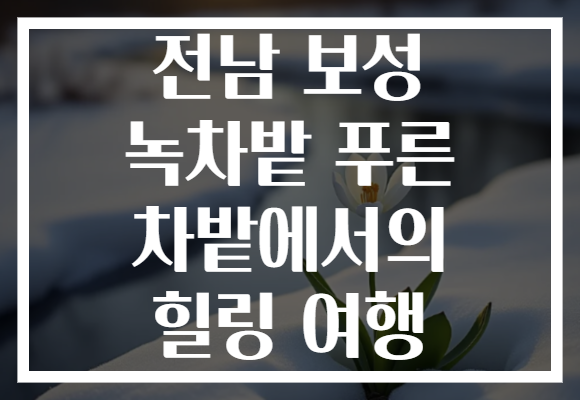 전남 보성 녹차밭 푸른 차밭에서의 힐링 여행
