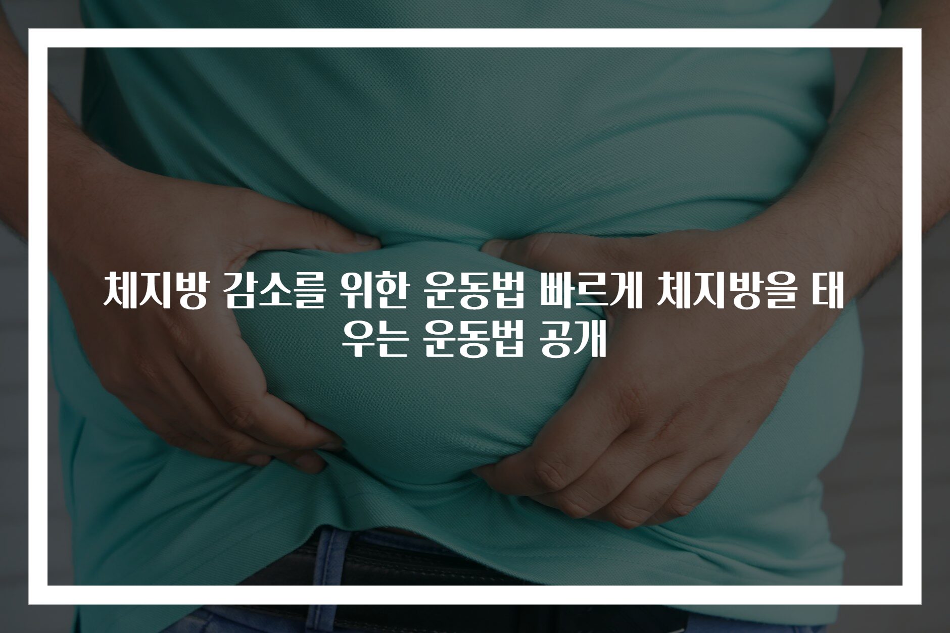 체지방 감소를 위한 운동법 빠르게 체지방을 태우는 운동법 공개