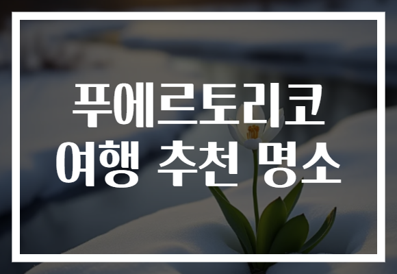 푸에르토리코 여행 추천 명소