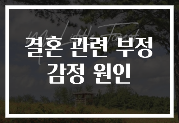 결혼 관련 부정 감정 원인