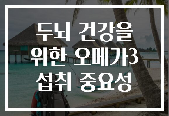 두뇌 건강을 위한 오메가3 섭취 중요성