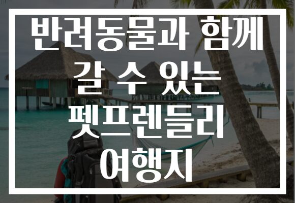반려동물과 함께 갈 수 있는 펫프렌들리 여행지