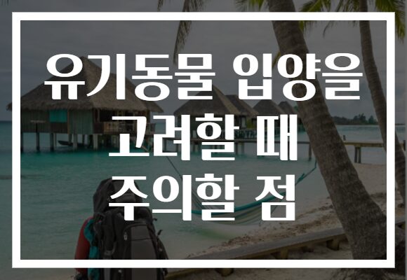 유기동물 입양을 고려할 때 주의할 점