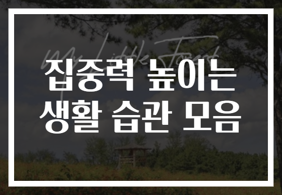 집중력 높이는 생활 습관 모음