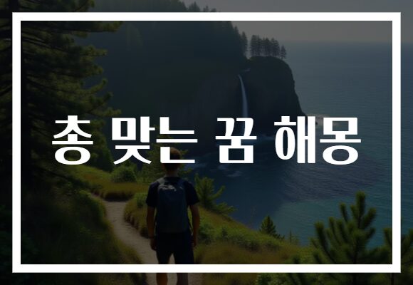 총 맞는 꿈 해몽