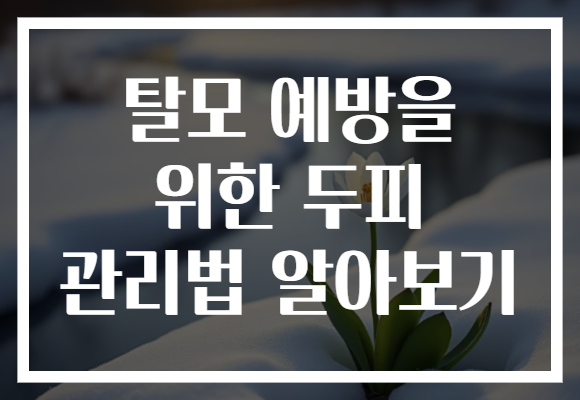 탈모 예방을 위한 두피 관리법 알아보기