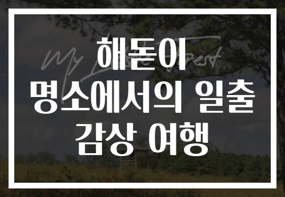 해돋이 명소에서의 일출 감상 여행