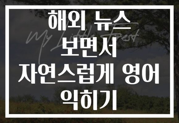 해외 뉴스 보면서 자연스럽게 영어 익히기