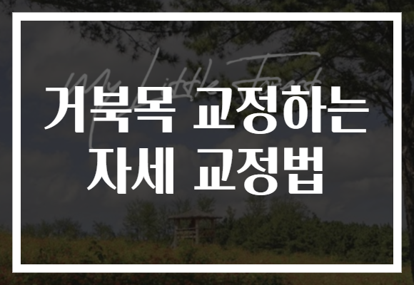 거북목 교정하는 자세 교정법