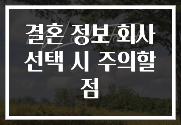 결혼 정보 회사 선택 시 주의할 점