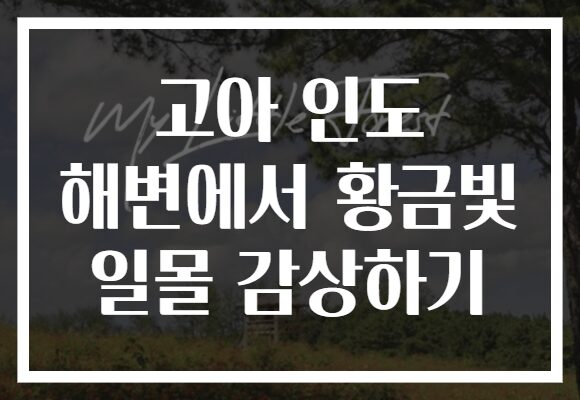 고아 인도 해변에서 황금빛 일몰 감상하기