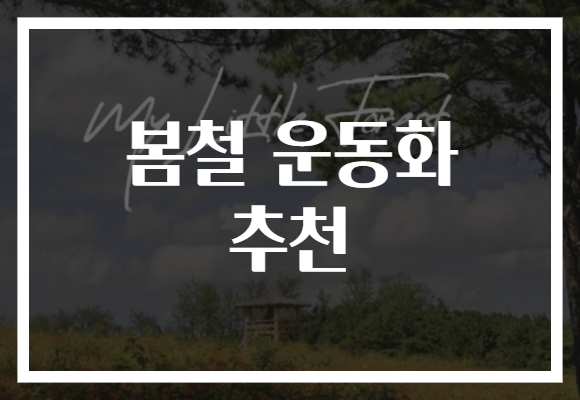 봄철 운동화 추천