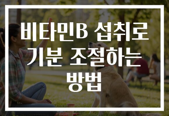 비타민B 섭취로 기분 조절하는 방법
