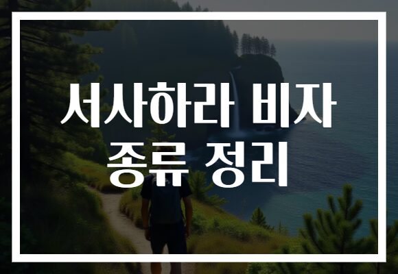 서사하라 비자 종류 정리