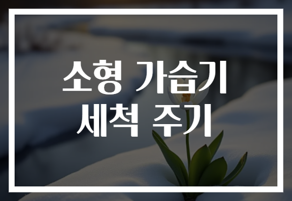 소형 가습기 세척 주기