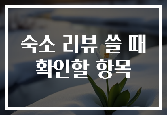 숙소 리뷰 쓸 때 확인할 항목