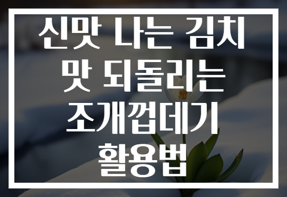 신맛 나는 김치 맛 되돌리는 조개껍데기 활용법