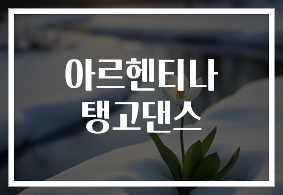 아르헨티나 탱고댄스