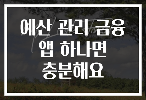 예산 관리 금융 앱 하나면 충분해요