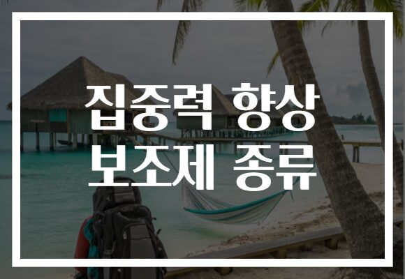 집중력 향상 보조제 종류