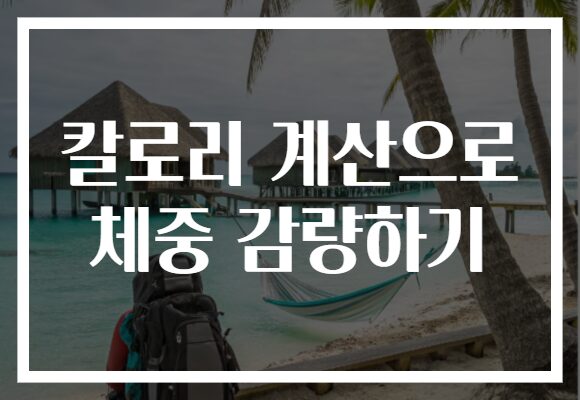 칼로리 계산으로 체중 감량하기
