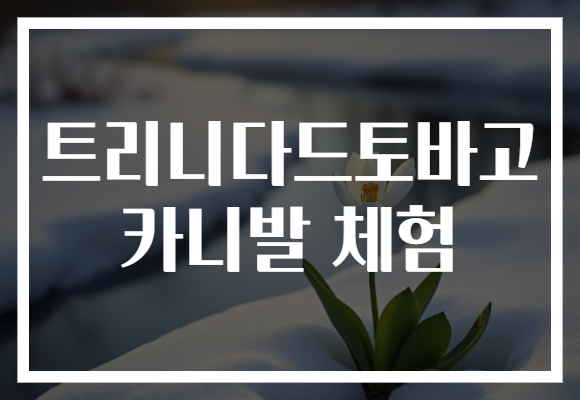 트리니다드토바고 카니발 체험