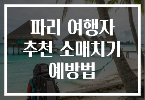 파리 여행자 추천 소매치기 예방법