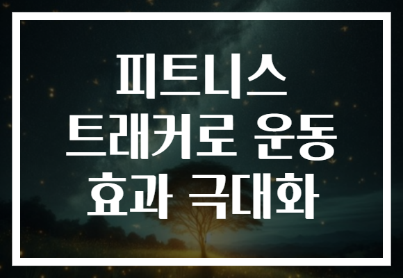 피트니스 트래커로 운동 효과 극대화