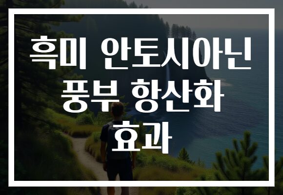 흑미 안토시아닌 풍부 항산화 효과