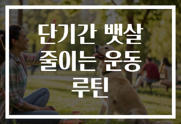 단기간 뱃살 줄이는 운동 루틴