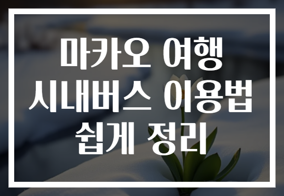 마카오 여행 시내버스 이용법 쉽게 정리