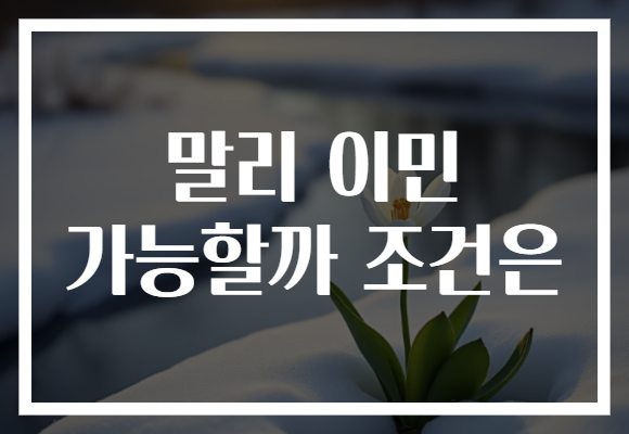말리 이민 가능할까 조건은