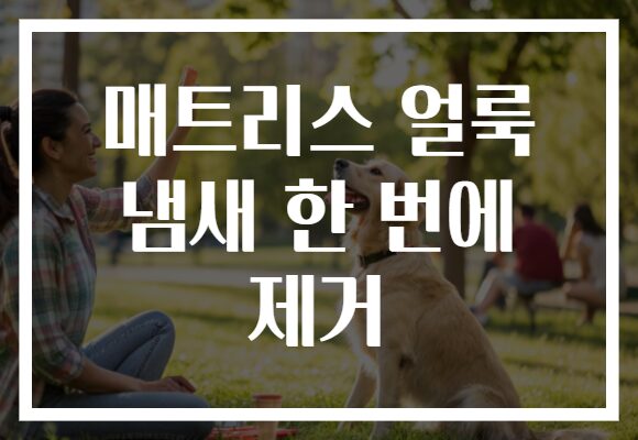 매트리스 얼룩 냄새 한 번에 제거