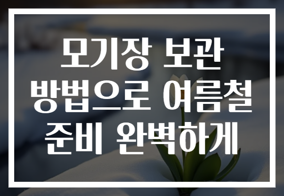 모기장 보관 방법으로 여름철 준비 완벽하게