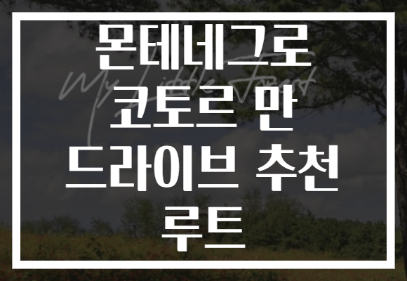 몬테네그로 코토르 만 드라이브 추천 루트