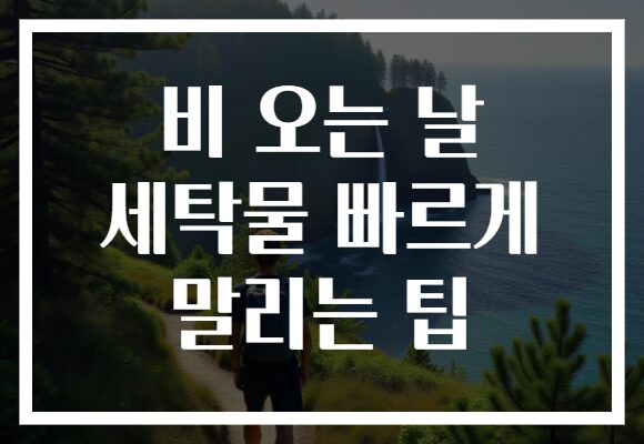 비 오는 날 세탁물 빠르게 말리는 팁