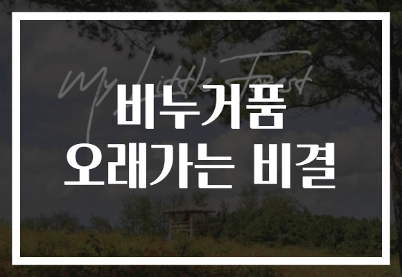비누거품 오래가는 비결