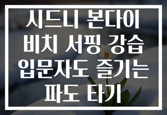 시드니 본다이 비치 서핑 강습 입문자도 즐기는 파도 타기