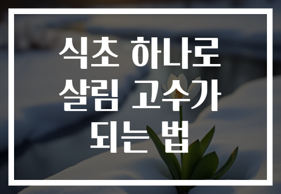 식초 하나로 살림 고수가 되는 법