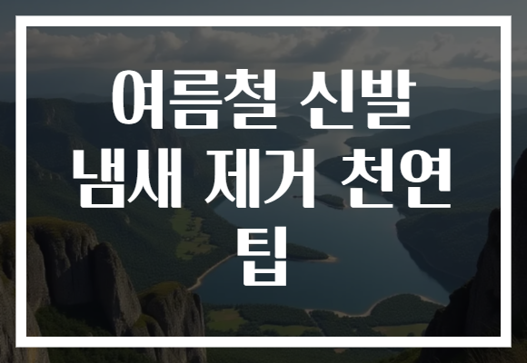 여름철 신발 냄새 제거 천연 팁