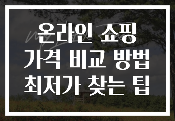 온라인 쇼핑 가격 비교 방법 최저가 찾는 팁