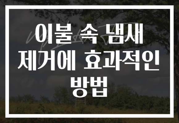 이불 속 냄새 제거에 효과적인 방법