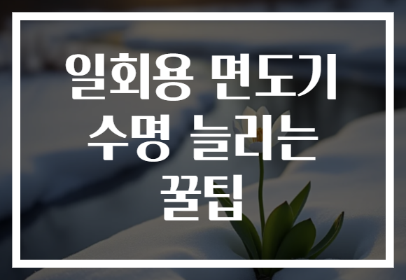 일회용 면도기 수명 늘리는 꿀팁
