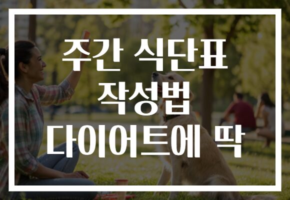 주간 식단표 작성법 다이어트에 딱