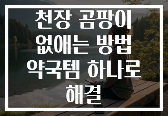 천장 곰팡이 없애는 방법 약국템 하나로 해결