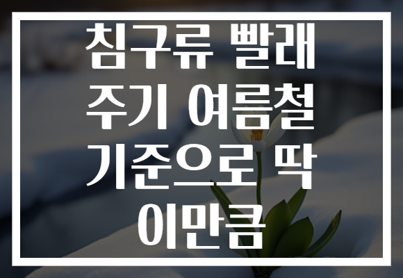 침구류 빨래 주기 여름철 기준으로 딱 이만큼